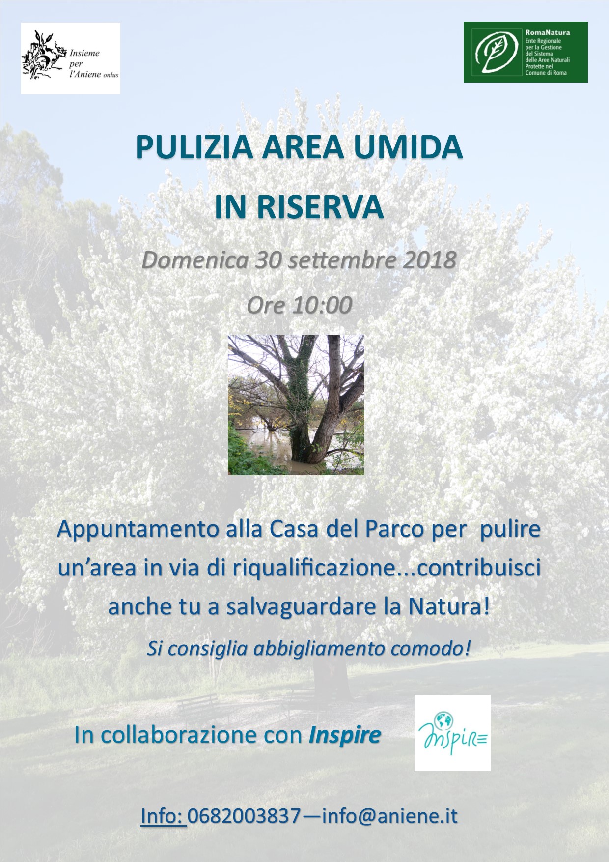 Pulizia Area Umida in Riserva